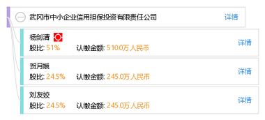 武岡市中小企業(yè)信用擔保投資有限責任公司